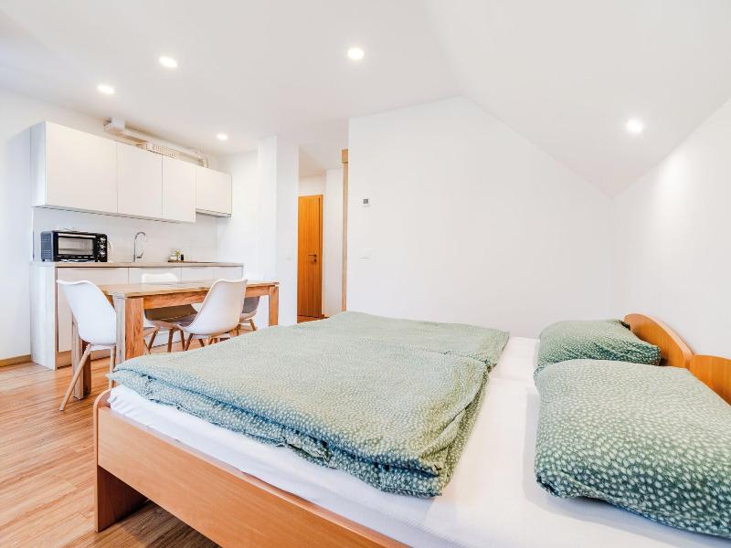 Apartmaji Skok image