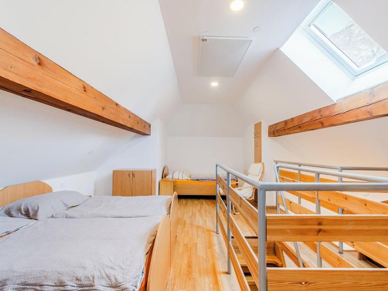 Apartmaji Skok image