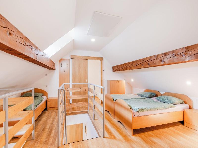 Apartmaji Skok image