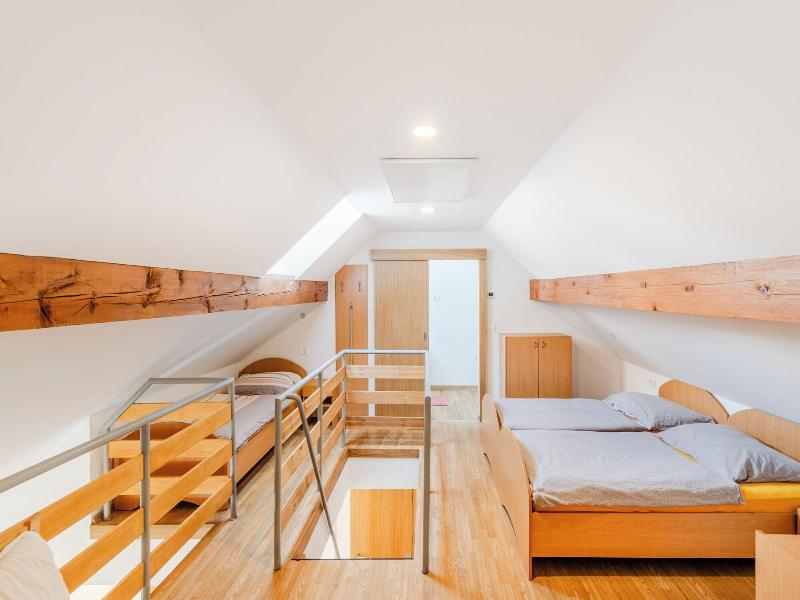 Apartmaji Skok image