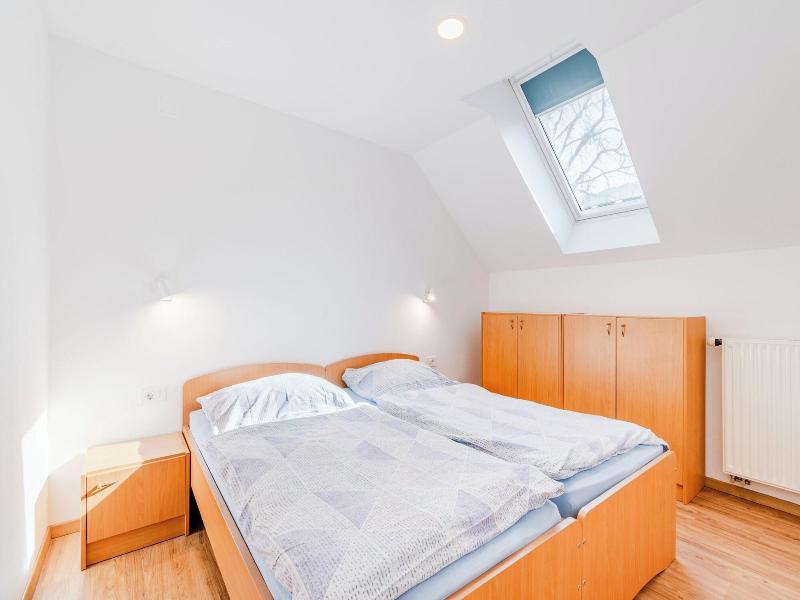 Apartmaji Skok image