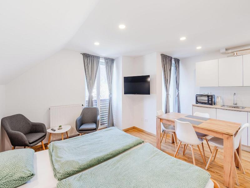 Apartmaji Skok image