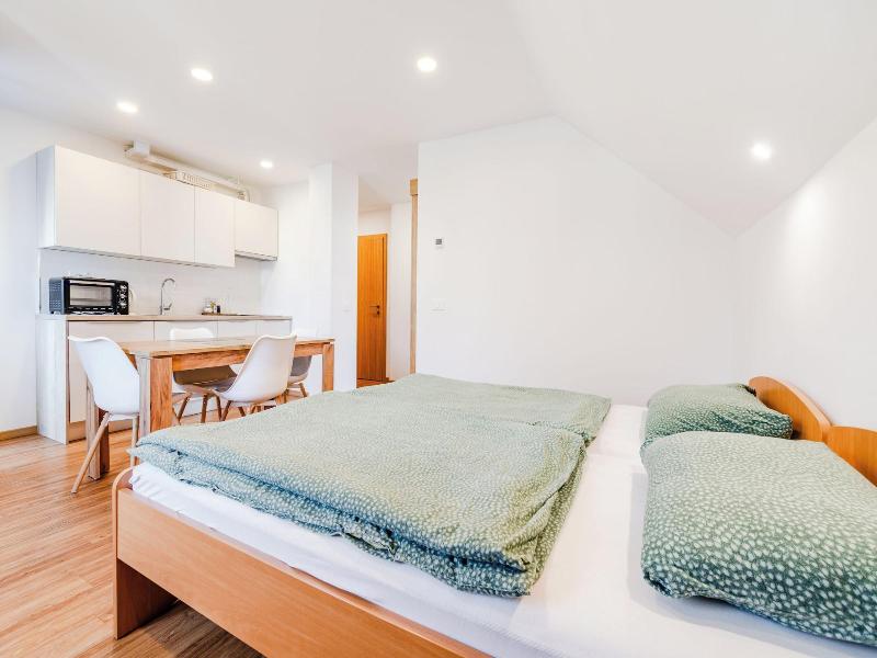 Apartmaji Skok image