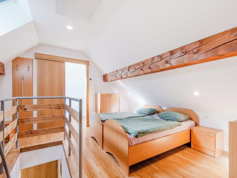 Apartmaji Skok image