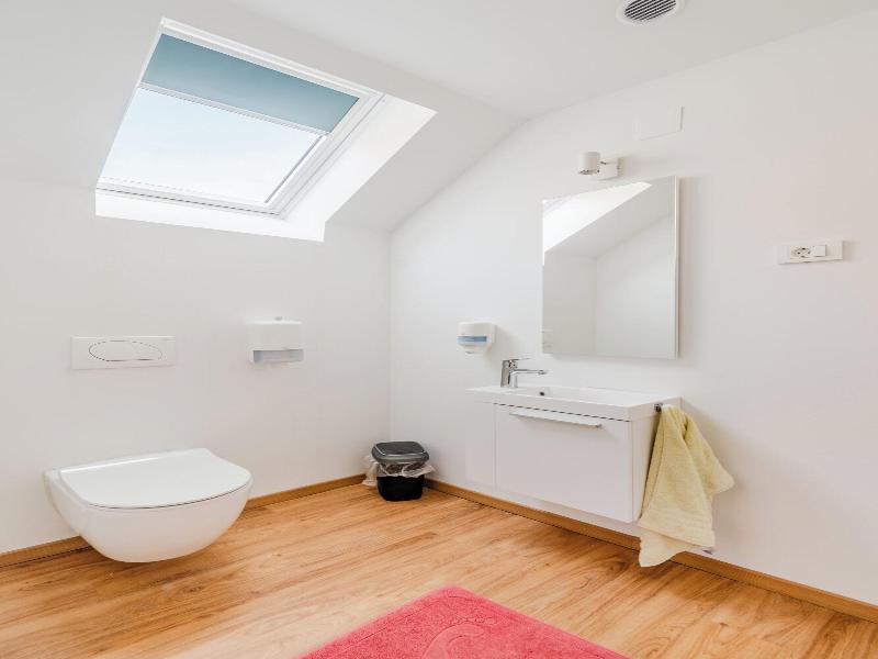 Apartmaji Skok image