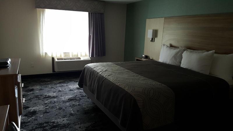 Aartpark Hotel Inn At Lewiston image