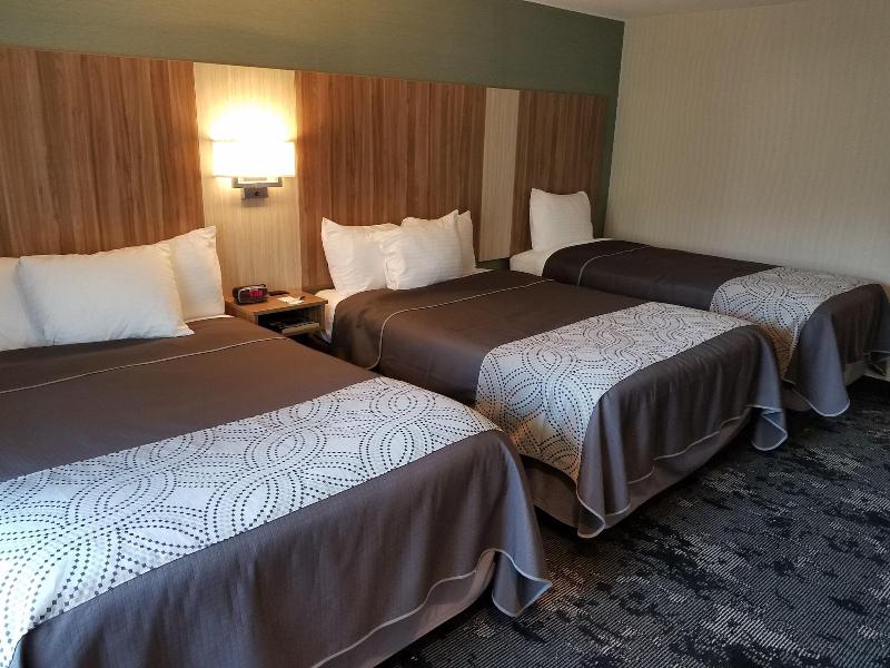 Aartpark Hotel Inn At Lewiston image