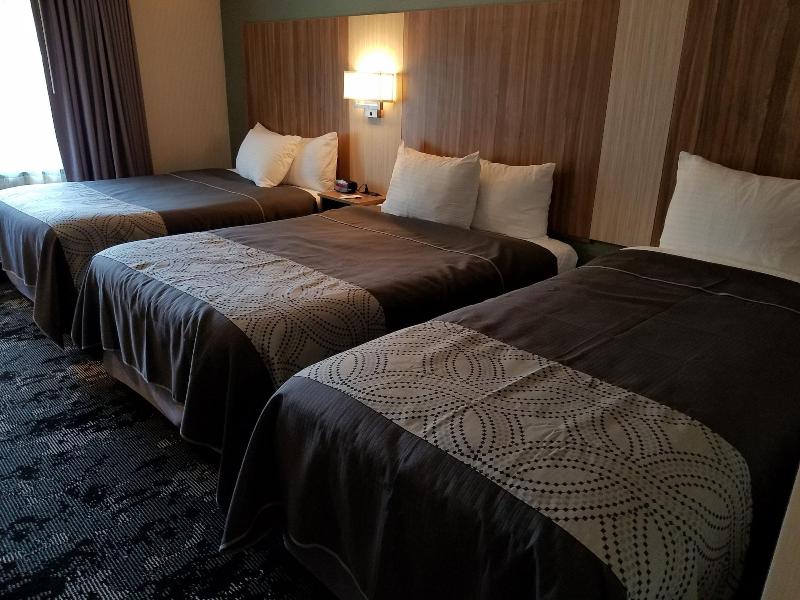 Aartpark Hotel Inn At Lewiston image