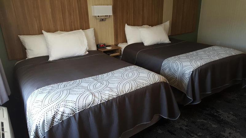 Aartpark Hotel Inn At Lewiston image