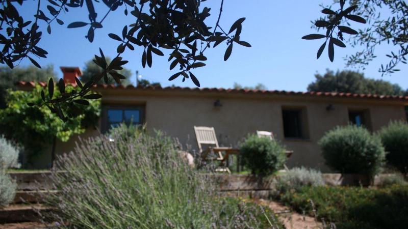 Auberge U Sirenu image