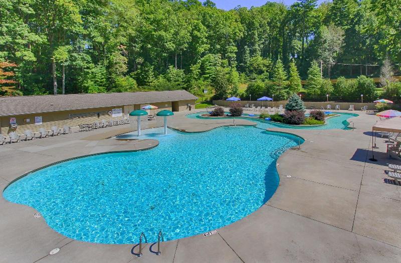 Fontana Village Resort image