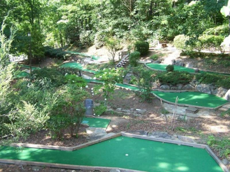 Fontana Village Resort image