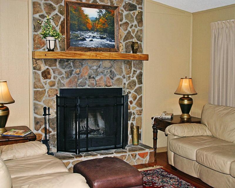 Fontana Village Resort image