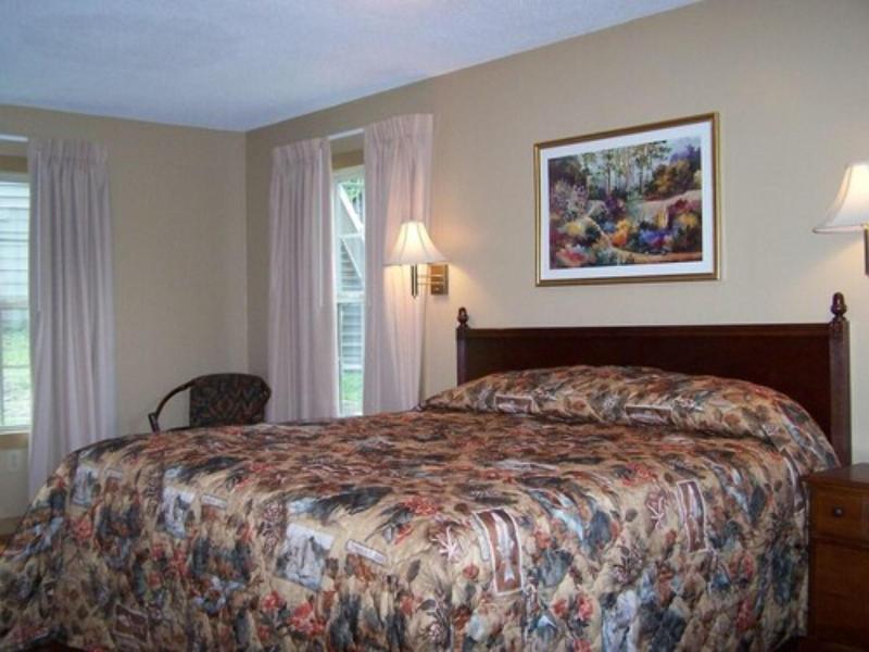 Fontana Village Resort image