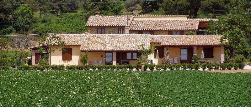 Agriturismo Casale Del Contadino image