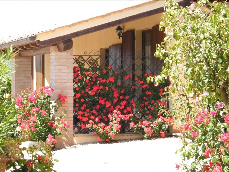 Agriturismo Casale Del Contadino image