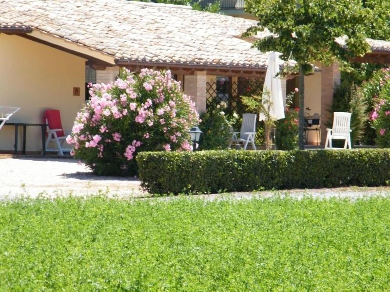 Agriturismo Casale Del Contadino image