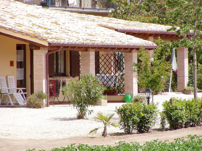 Agriturismo Casale Del Contadino image