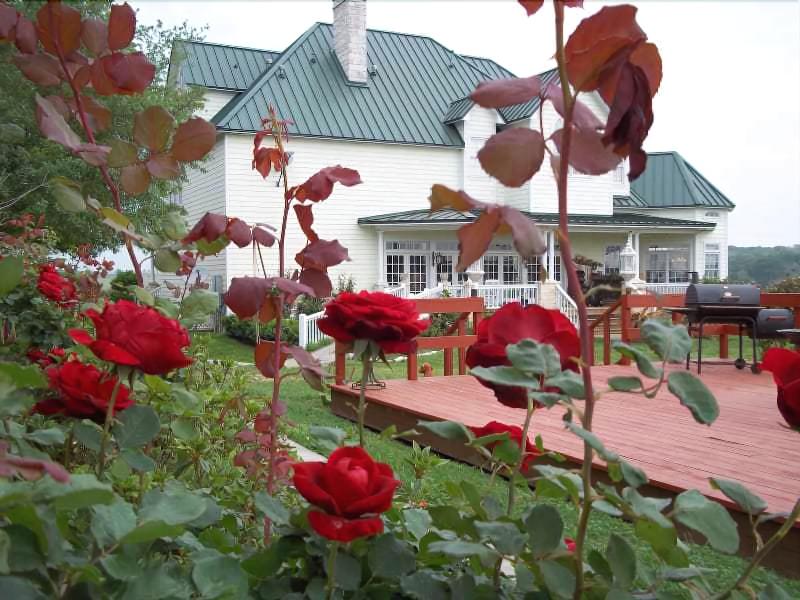 Lillian Farms Bed & Breakfast image
