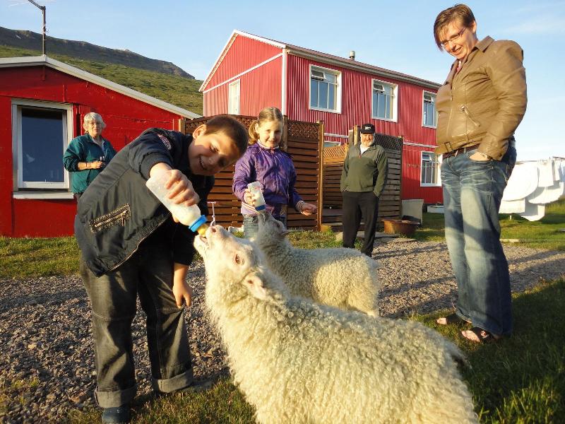 Mjóeyri Travel holiday homes image