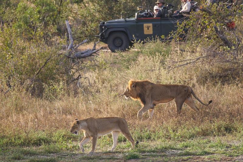 Baobab Ridge Private Lodge image