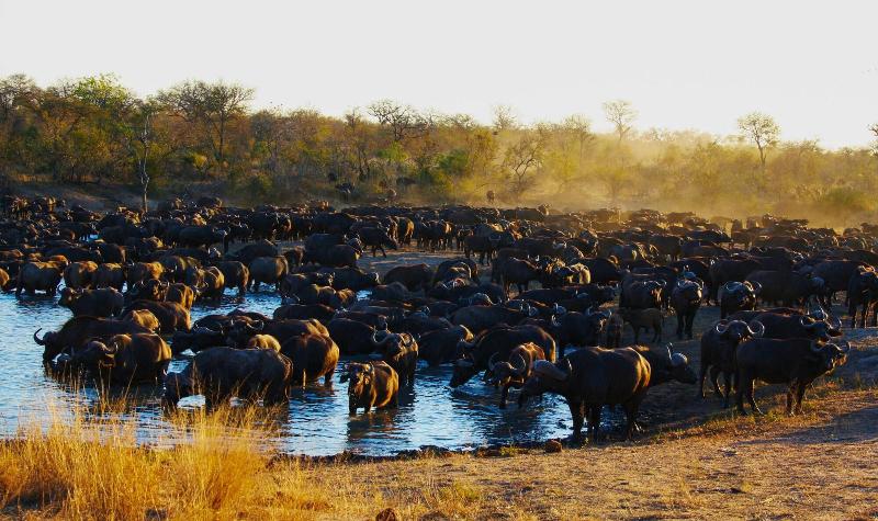 Baobab Ridge Private Lodge image