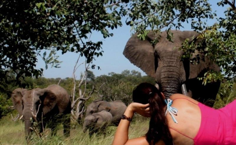 Baobab Ridge Private Lodge image