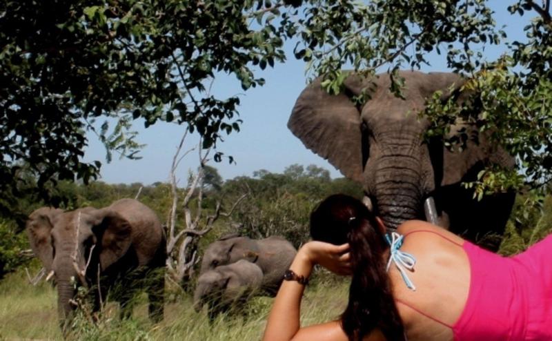 Baobab Ridge Private Lodge image