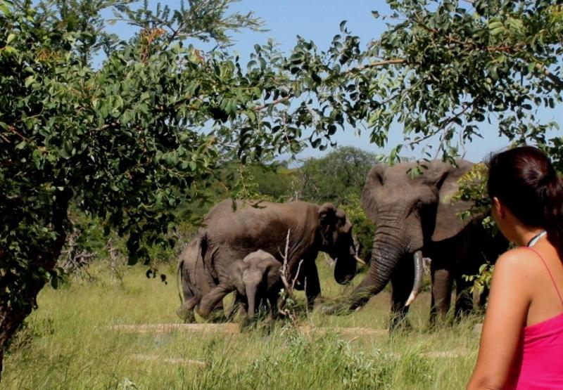 Baobab Ridge Private Lodge image