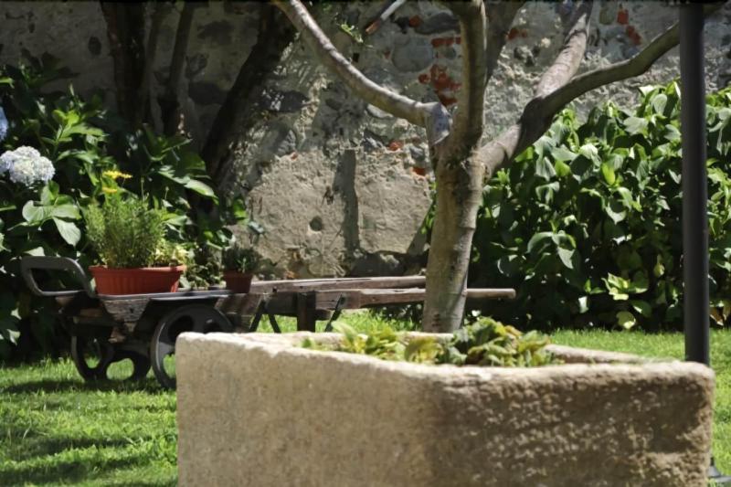 B&B Il Cortile image