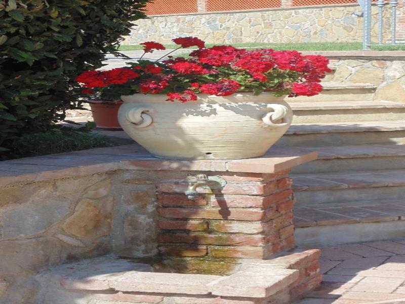 Il Borgo Sul Lago image