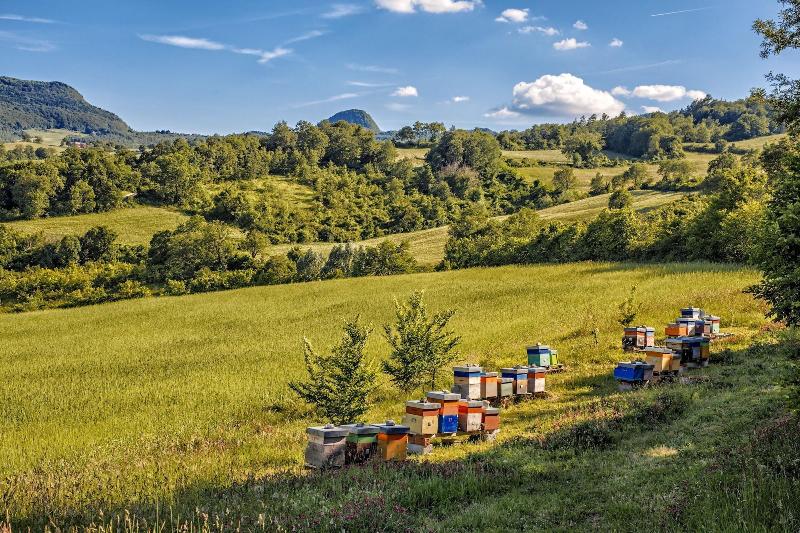 Agriturismo Eutopia image