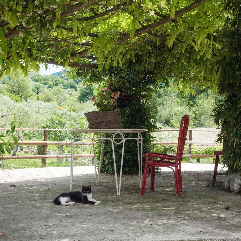 Villa De Luccheri image