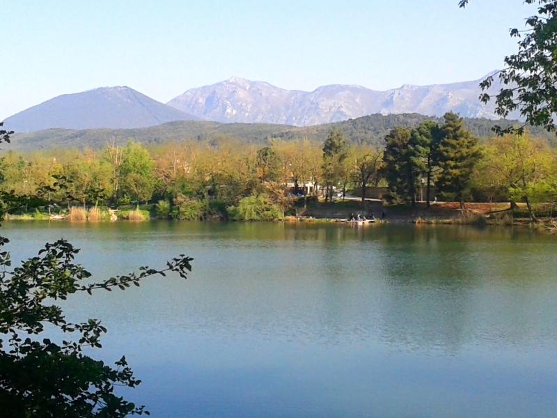 Villa De Luccheri image
