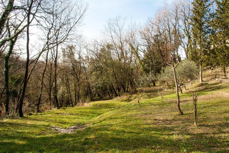 Villa De Luccheri image