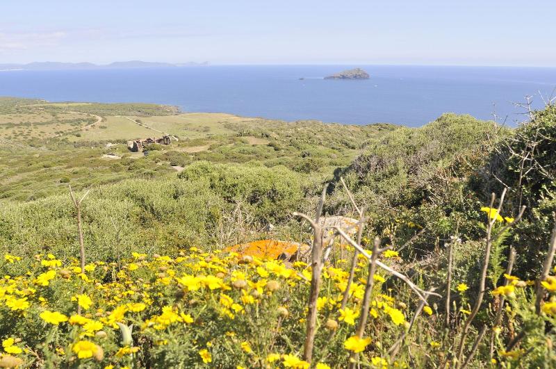 B&B Semaforo di Capo Sperone image
