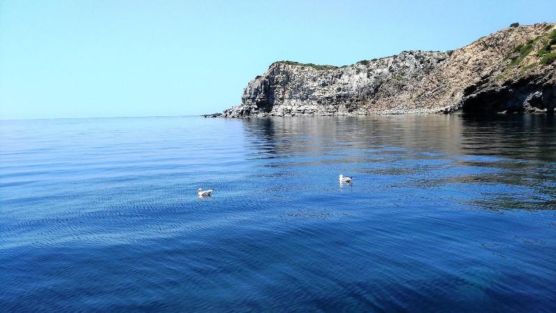 B&B Semaforo di Capo Sperone image
