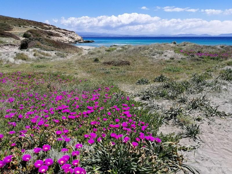 B&B Semaforo di Capo Sperone image