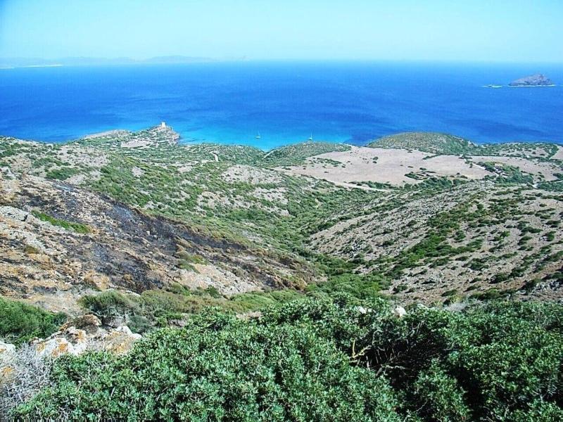 B&B Semaforo di Capo Sperone image