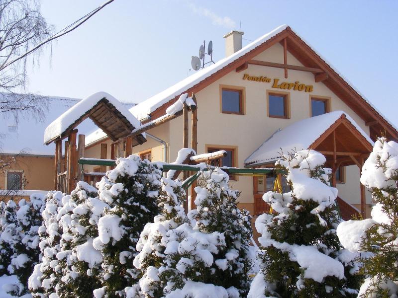 Penzion Larion image