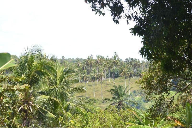 Pousada Rancho Fundo image