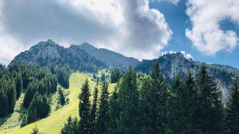 Landgasthof Hotel Schöntag & Steak House image