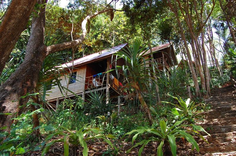 Jungle Hill Beach Bungalow image