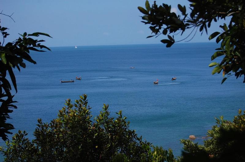 Jungle Hill Beach Bungalow image