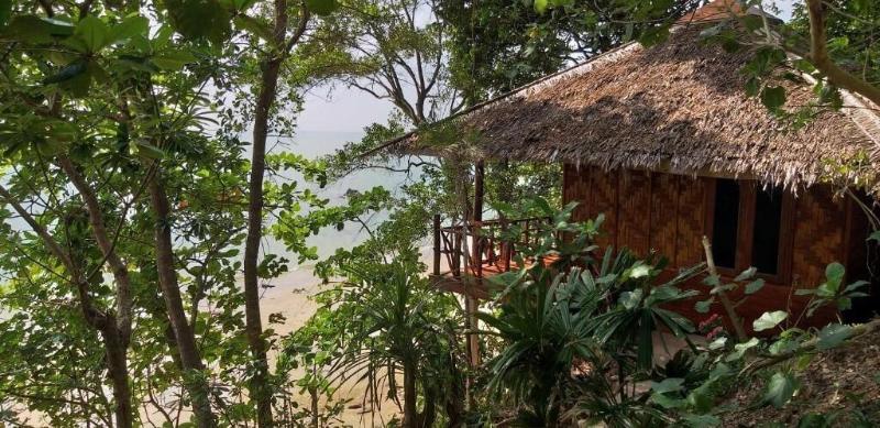 Jungle Hill Beach Bungalow image