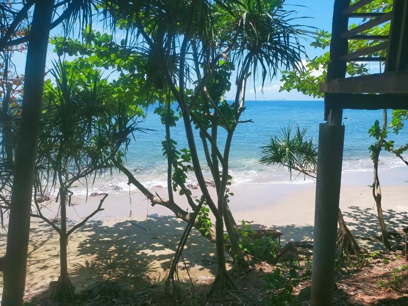 Jungle Hill Beach Bungalow image