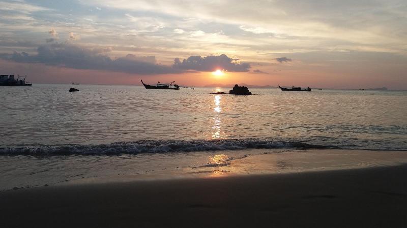 Jungle Hill Beach Bungalow image