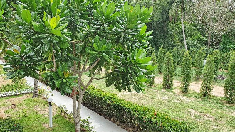 Horizon Beach Resort Koh Jum image