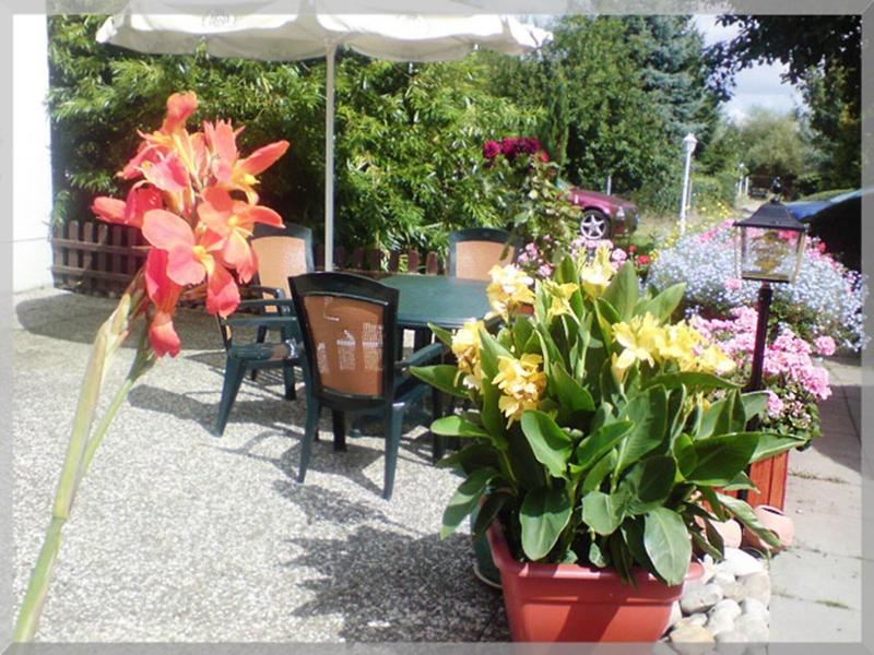 Landhotel Trampe image
