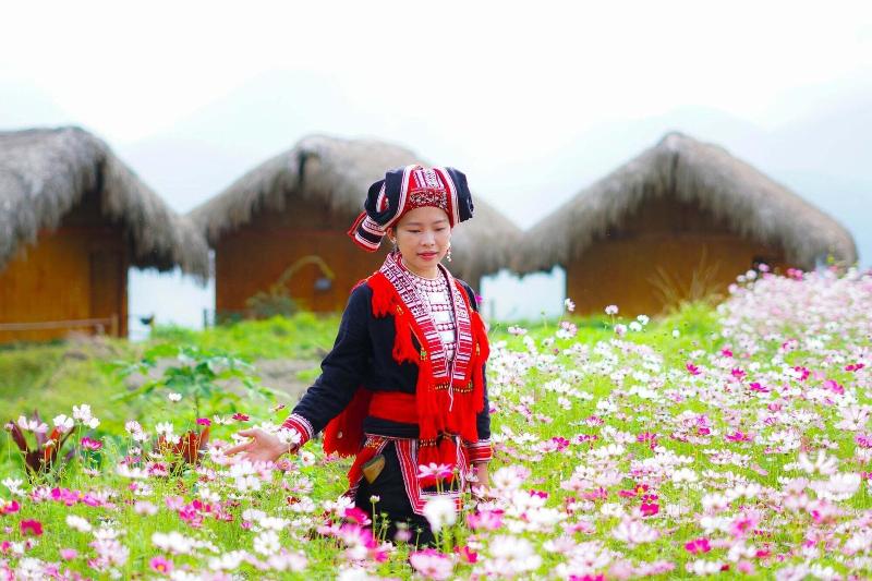 Hoang Su Phi Lodge image